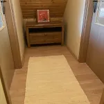 Na Pasekach 公寓 *